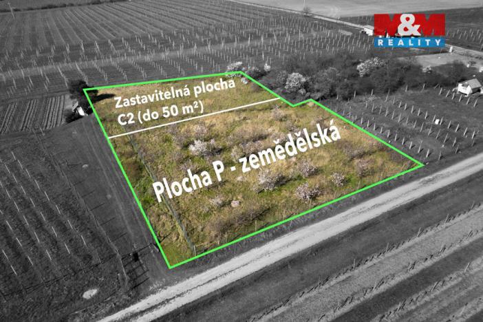 Prodej zahrady, Dobšice, 2462 m2