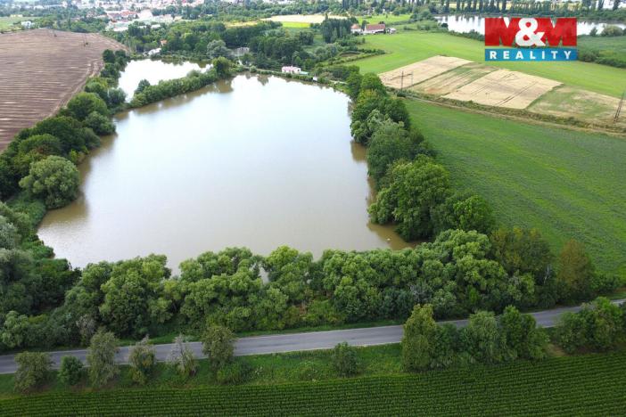 Prodej rybníku, Český Brod - Liblice, 6053 m2