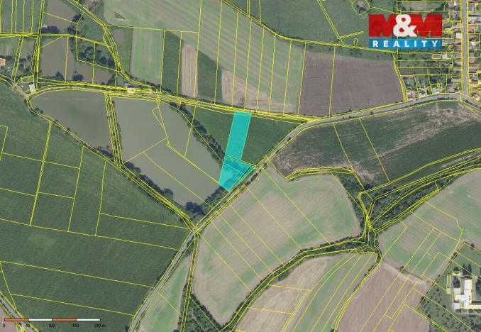 Prodej rybníku, Český Brod - Liblice, 6053 m2