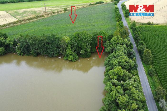 Prodej rybníku, Český Brod - Liblice, 6053 m2