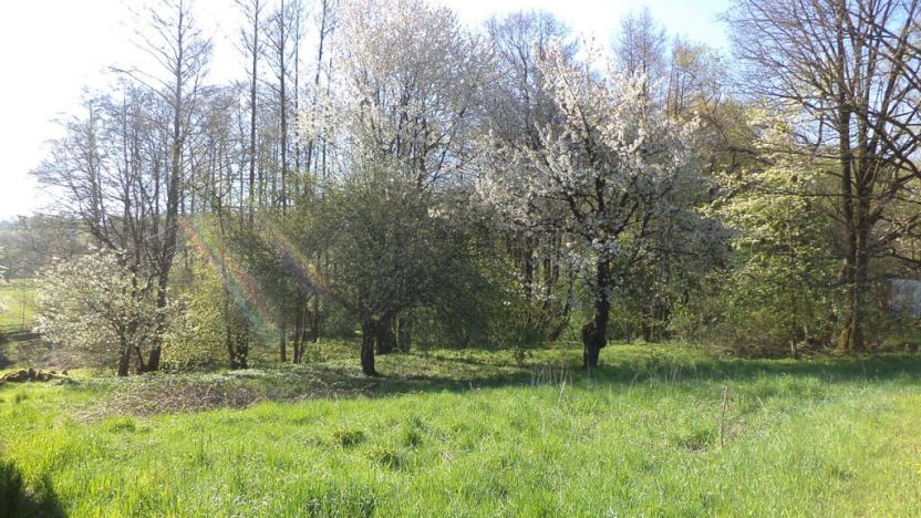 Prodej pozemku, Kamenná - Kondrač, 2542 m2