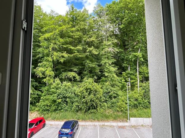 Prodej bytu 3+1, Paseka, 69 m2