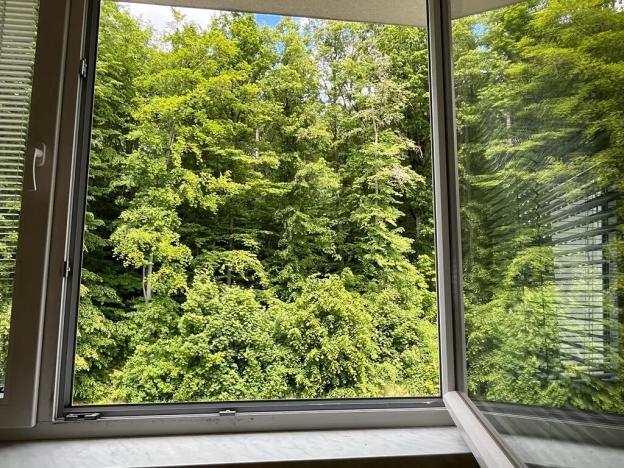 Prodej bytu 3+1, Paseka, 69 m2