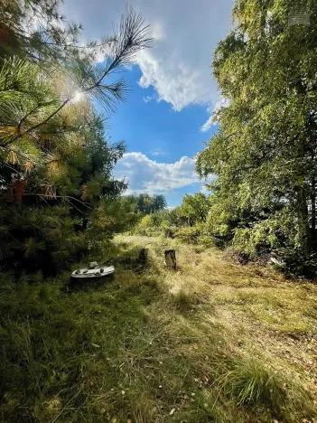 Prodej chaty, Hroznětín, 26 m2