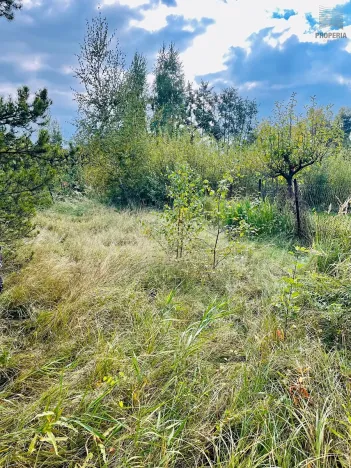 Prodej chaty, Hroznětín, 26 m2