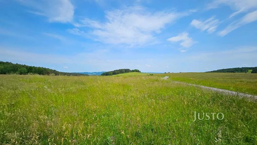 Prodej pozemku pro bydlení, Dobev, 8980 m2