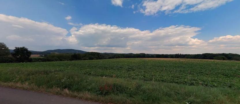 Prodej pole, Mšeno, 9988 m2