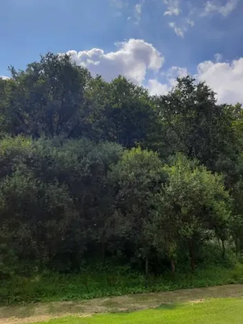 Prodej pozemku, Dolní Zimoř, 1049 m2