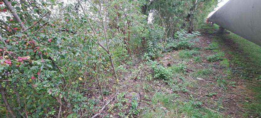 Prodej komerčního pozemku, Měšice, 2035 m2