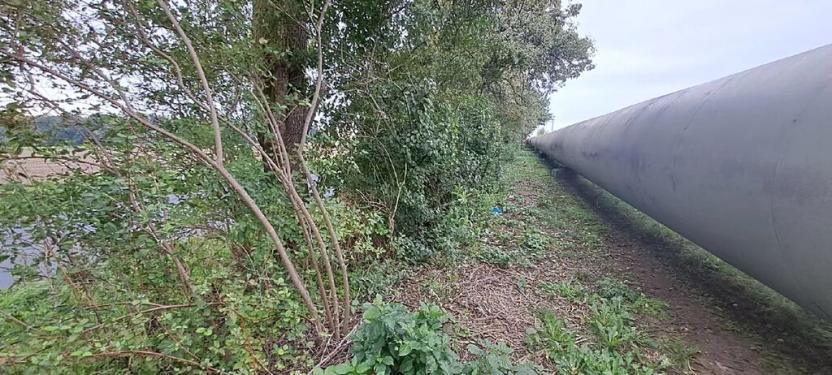 Prodej komerčního pozemku, Měšice, 2035 m2