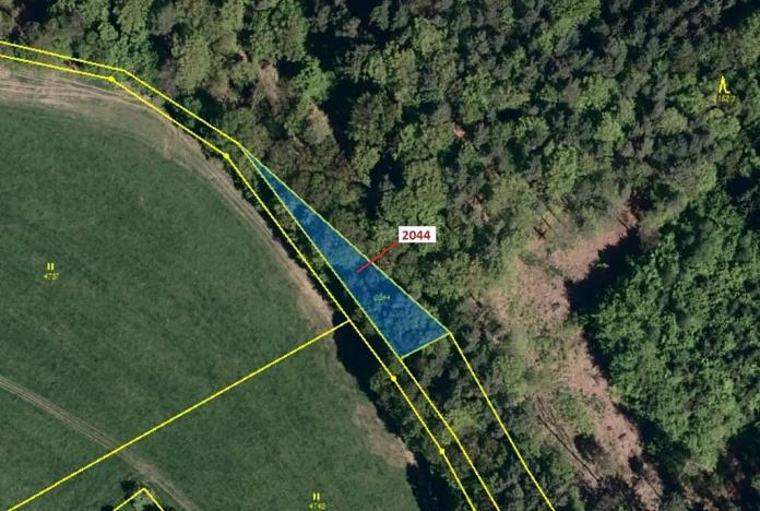 Dražba lesa, Slopné, 471 m2