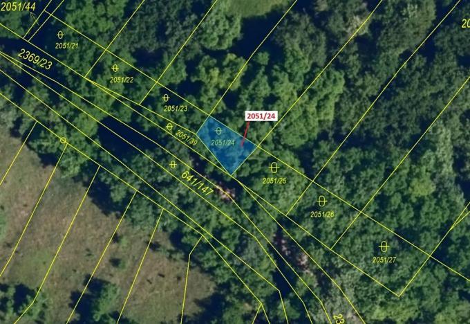 Dražba lesa, Ivančice, 64 m2