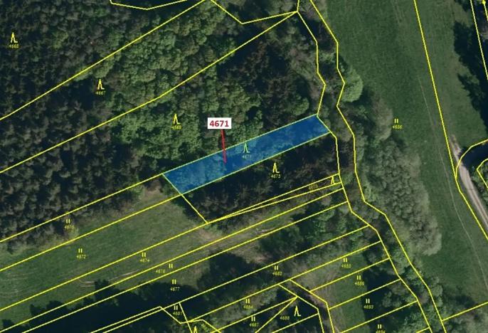 Dražba lesa, Slopné, 786 m2