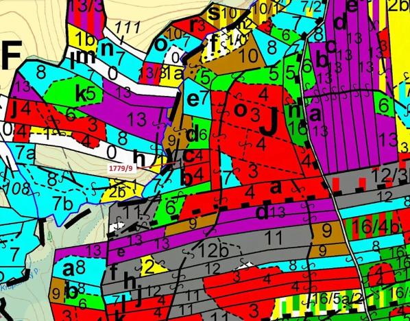 Dražba lesa, Žirovnice, 1388 m2