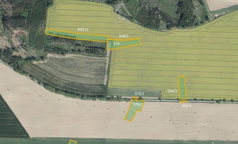 Prodej pole, Hořice, 58969 m2