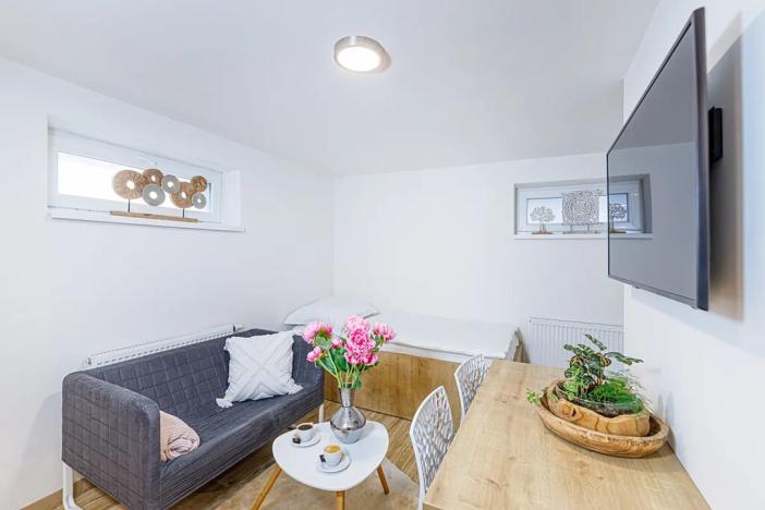 Pronájem bytu 1+kk, Zlín, Vejvanovská, 20 m2