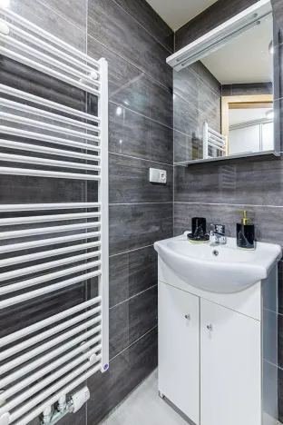 Pronájem bytu 1+kk, Zlín, Vejvanovská, 20 m2