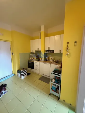 Prodej bytu 1+1, Praha - Braník, Na Mlejnku, 52 m2