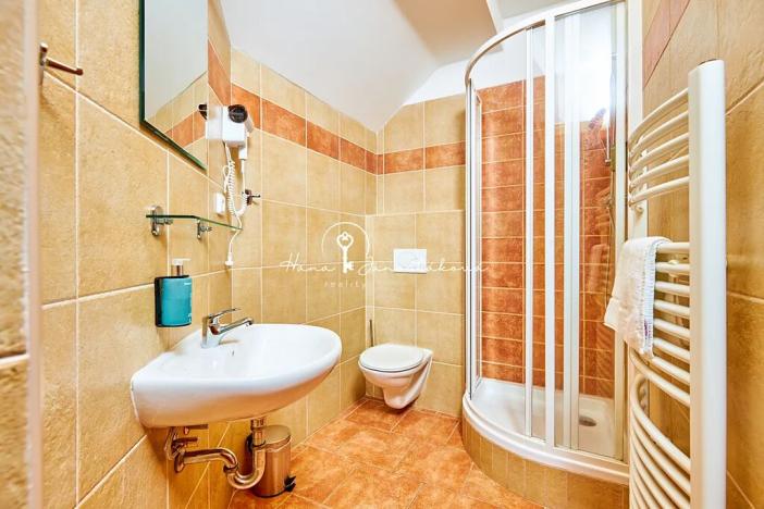 Prodej ubytování, Český Krumlov, Rooseveltova, 270 m2