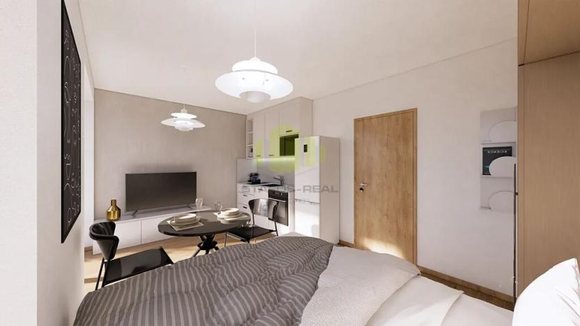 Prodej bytu 1+kk, Lipník nad Bečvou, Mánesova, 25 m2