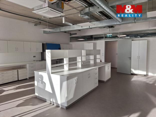 Pronájem komerční nemovitosti, Zlatníky-Hodkovice - Hodkovice, Inovační, 70 m2