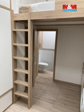 Prodej bytu 1+kk, Opava - Předměstí, Alšova, 20 m2