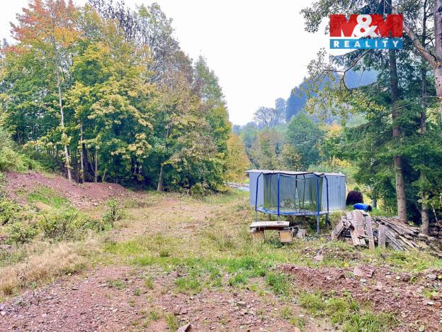 Prodej pozemku pro bydlení, Červená Voda - Horní Orlice, 2024 m2