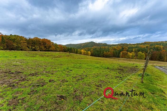 Prodej ubytování, Ždírec, 336 m2