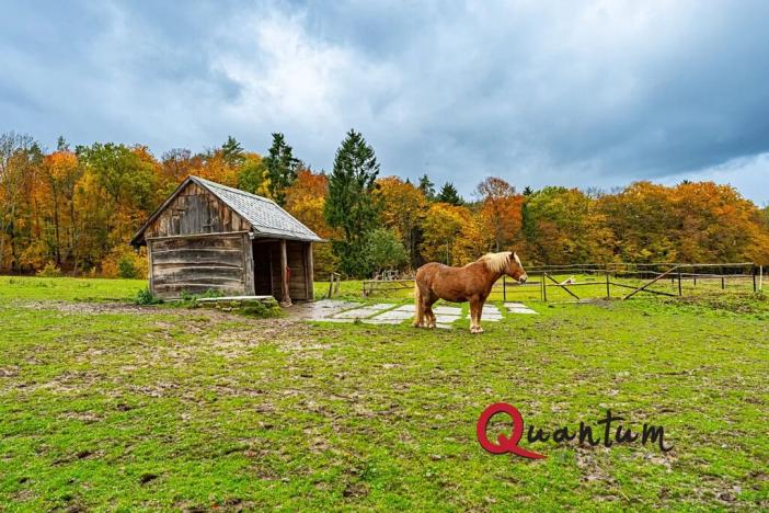 Prodej ubytování, Ždírec, 336 m2