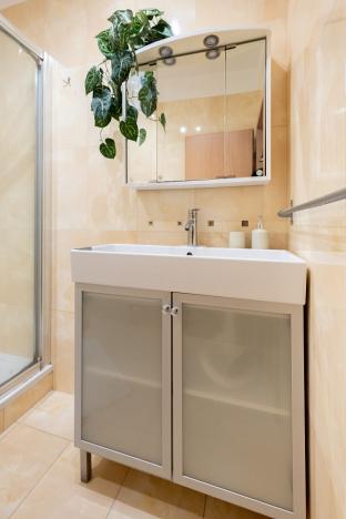 Prodej bytu 3+1, České Budějovice - České Budějovice 3, Nová, 74 m2