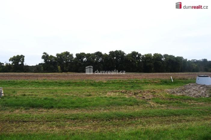 Prodej pole, Benátky nad Jizerou, Pražská, 6490 m2