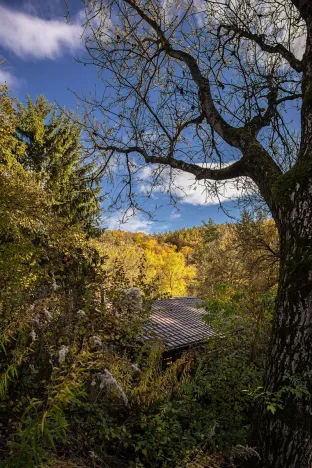 Prodej chaty, Heroltice, 40 m2