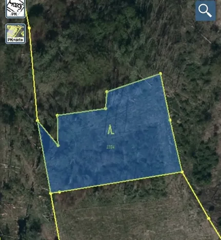 Dražba lesa, Kožichovice, 2269 m2