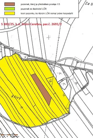 Prodej podílu lesa, Dolní Cerekev, 11817 m2