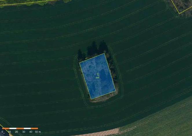 Prodej lesa, Třešť, 1987 m2