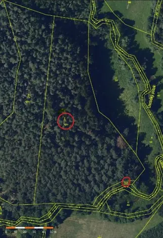 Prodej lesa, Havlíčkův Brod, 12933 m2