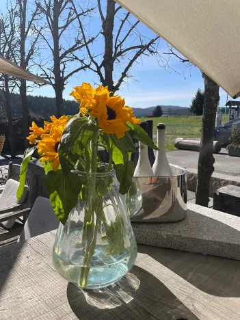 Prodej rodinného domu, Kvilda, 408 m2