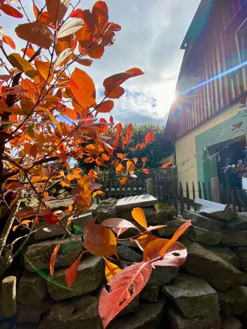 Prodej rodinného domu, Kvilda, 408 m2