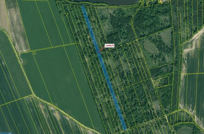 Dražba lesa, Břehov, 19879 m2