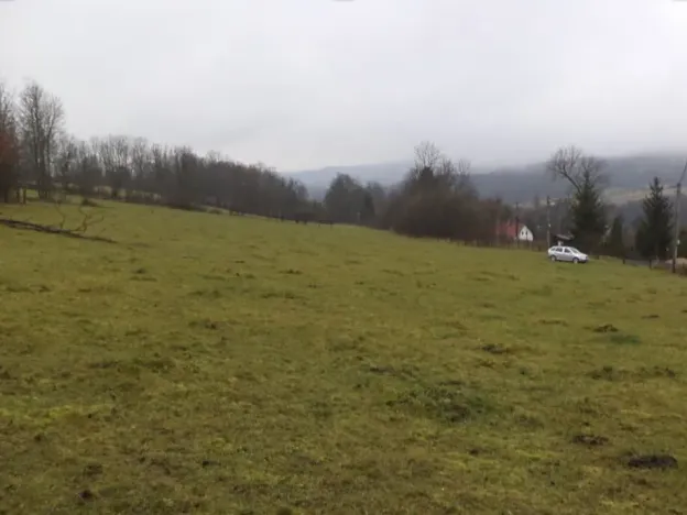 Dražba pole, Lovečkovice, 21494 m2