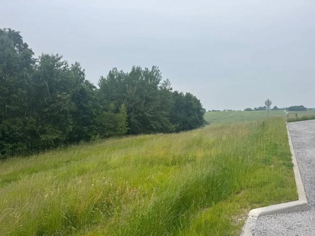 Dražba pozemku pro bydlení, Slavče, 1251 m2