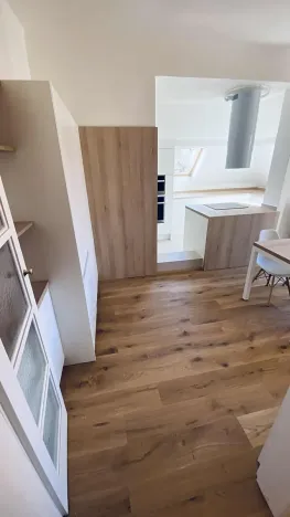 Pronájem bytu 4+kk, Brno, Libušino údolí, 160 m2