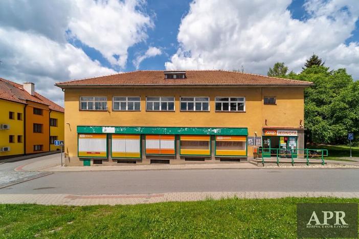 Pronájem obchodního prostoru, Topolná, 266 m2