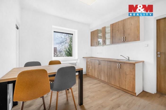 Pronájem bytu 1+kk, Plazy, 30 m2