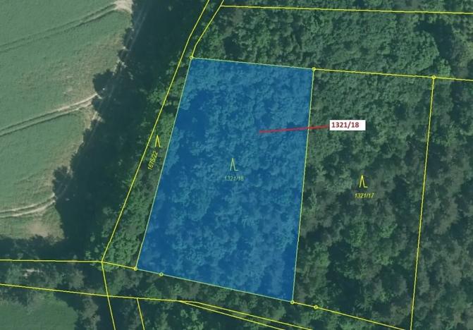 Dražba lesa, Jílovice, 3594 m2