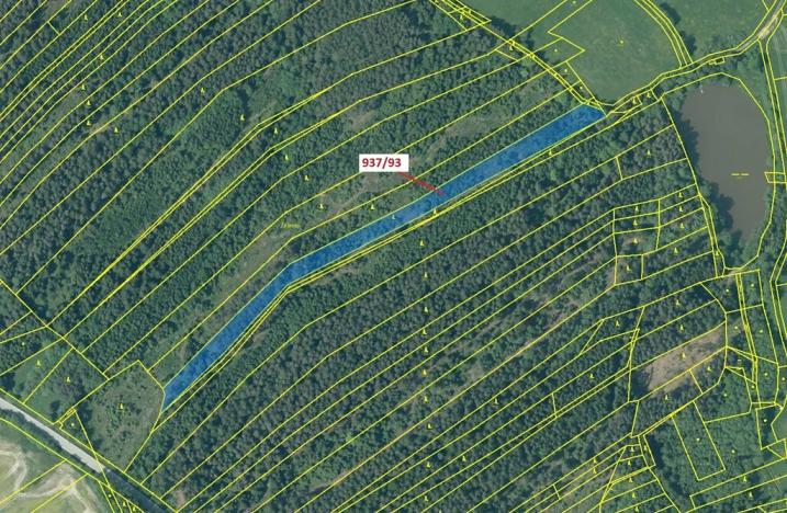 Dražba lesa, Netřebice, 8502 m2