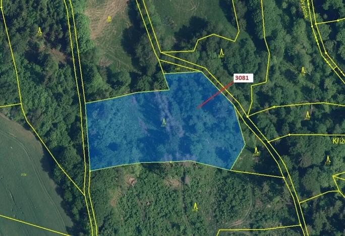 Dražba lesa, Benešov u Semil, 6213 m2