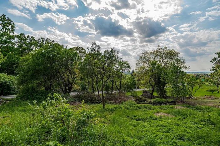 Prodej pozemku pro bydlení, Veliny, 3712 m2