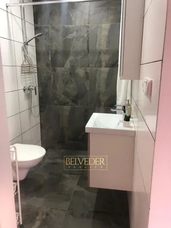 Pronájem bytu 1+kk, Teplice, Rokle, 32 m2