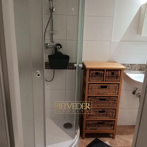 Pronájem bytu 1+kk, Teplice, Rokle, 34 m2